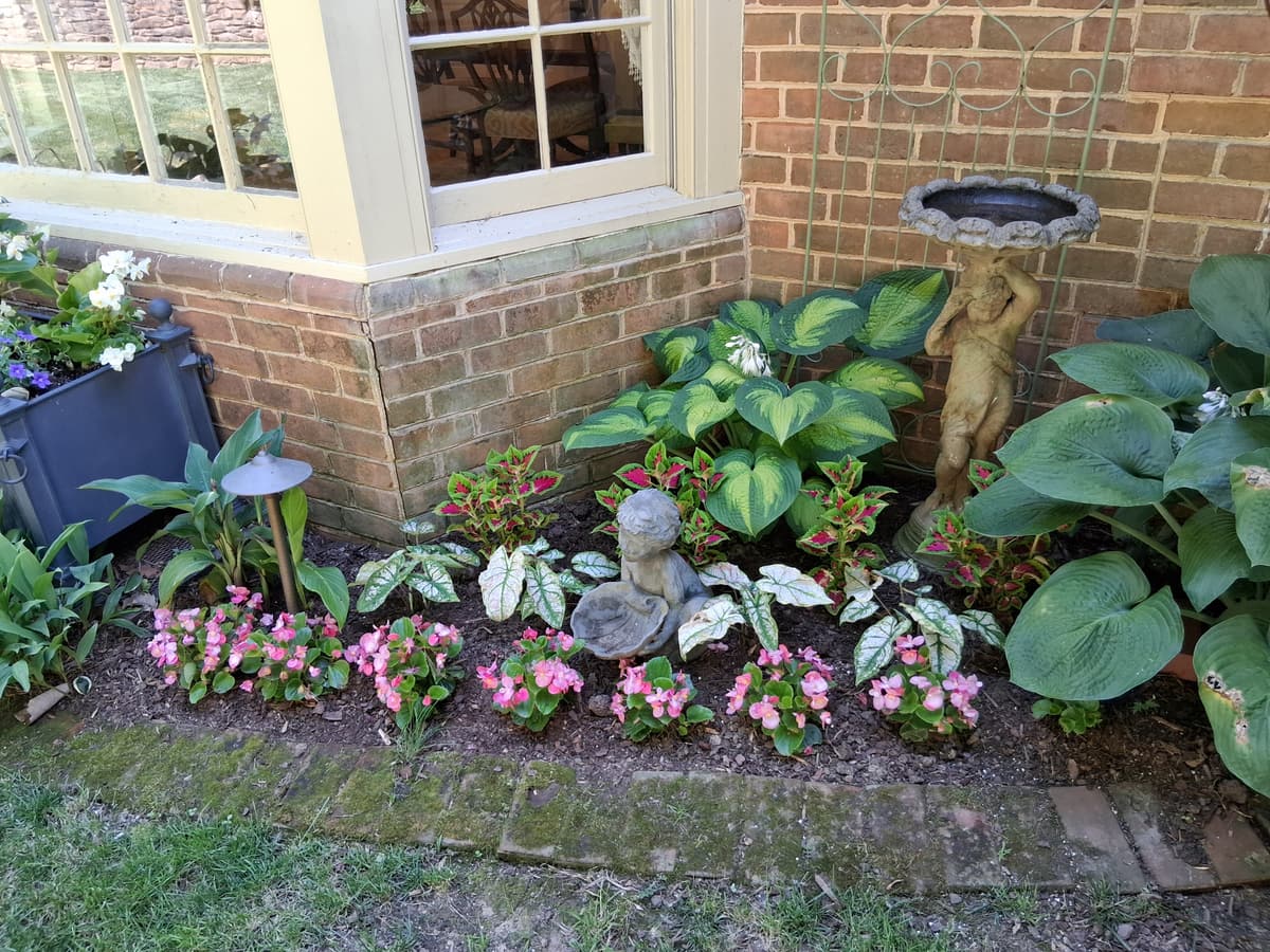 Window landscape bed with hostas, annuals, and garden accents